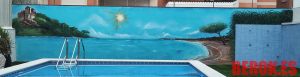 Pintura Mural Graffiti Pared Piscina Comunidad 300x100000